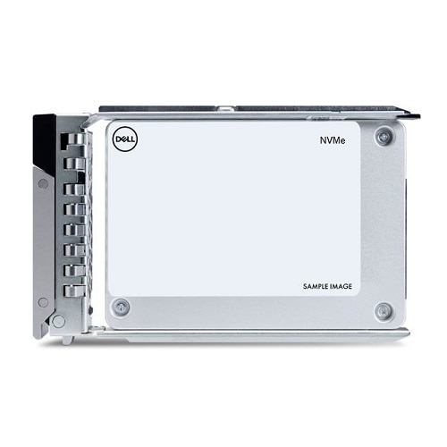 Dell EMC PowerEdge Express Flash Ent NVMe Read Intensive U.2 Gen4 3.84TB with Carrier
